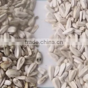 Sunflower Seeds/sunflower Kernel New Type Agriculture Color Sorter Machine thumbnail-3