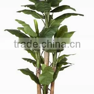 SJ0301115 Ornamental Landscaping Aquarium Plants Garden Decorative Green Plants thumbnail-5