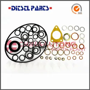 Engine Fuel Injector Repair Kit 2 417 010 008/800017 For Ve Pump Parts Rebulid Kit thumbnail-1