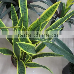 SJ GN 56 Artificial Sansevieria Plants thumbnail-4