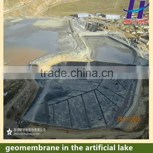 HDPE Geomembrane of Cheap Price for Pond Lake Dam Vertical Farming Waterproof Liner thumbnail-4