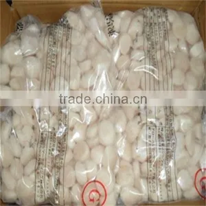 Cooked and Raw Scallop Sizes thumbnail-1