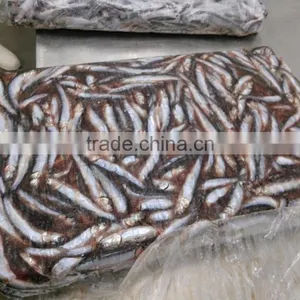 Hot Sales Land Frozen Anchovy for Bait thumbnail-1