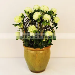 Cheap Single Stem Cloth Silk Ranunculus Flowers Low Moq Wholesale Hotel Decoration thumbnail-2