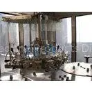 High Capacity Mineral Water Bottle Filling Machine for Glass Bottles , Rotary Type thumbnail-1
