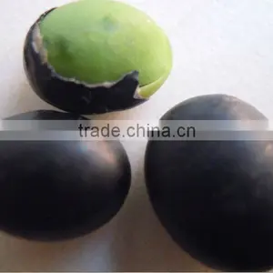 Organic Black Bean Green Kernel thumbnail-1