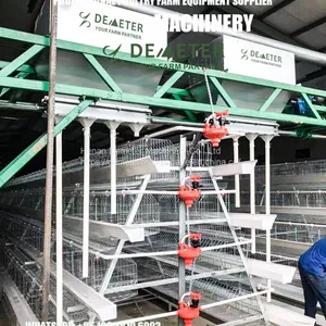 Chicken Cage Cage Poultry Cage, 3 Tier A Type Layer Chicken Cage for Kenya thumbnail-4