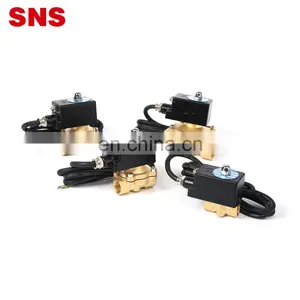 SNS 2WF Series 110V Explosion-proof Normally Closed Pneumatic Large Diameter Coil Brass Solenoid Valve thumbnail-1