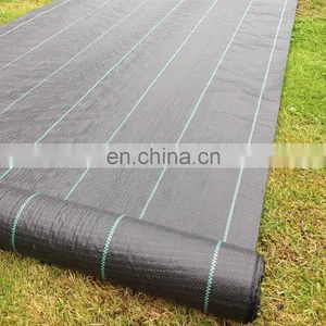 White Weed Mat Ground Cover In Agriculture Vegetable Garden thumbnail-3