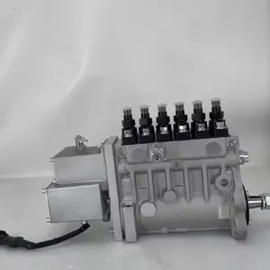 High Quality Machinery Engine Parts Fuel Injection Pump 4943468 5267707 BYC Fuel Pump thumbnail-1