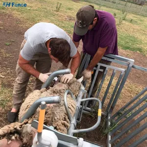 High Quality Australia Galvanized Welded Metal Steel Sheep and Goat Fence Corral Panels for Sale thumbnail-1