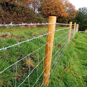 Hot Dipped Galvanized Barbed Wire Price Per Roll thumbnail-3