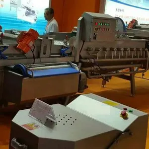 Industrial Vegetables and Fruit Washing Machine Commercial Automatic Bubble Spray Washer Equipment for Food Processing Plant thumbnail-3