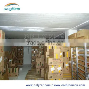 Prefabricated House Prices Cold Room thumbnail-5