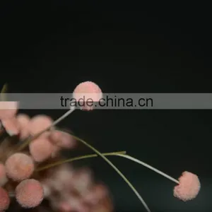 Buckle Flower thumbnail-3