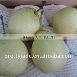 Chinese Sweet Ya Pear thumbnail-1