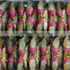Live Mud Crab (Male, Female, Eggs) thumbnail-3