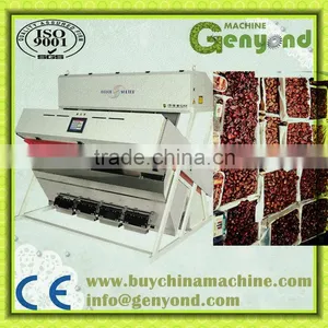 Date Palm COLOR Sorting Machine thumbnail-1