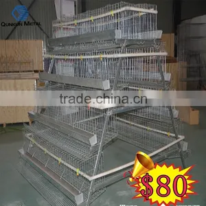 Poultry Chickens Farms Building for Sale thumbnail-1