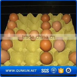 Cheap Price Transport Tray thumbnail-6