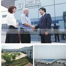 Luoyang Bota Heavy Industry Machinery Equipment Co., Ltd. company overview - view 1 thumbnail