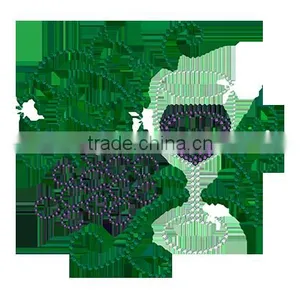 Wine Glass Rhinestone Iron On Transfer Hotfix Wholesale Motif For Shirt thumbnail-1