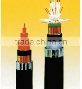 ZR-KYJVP2/Flame Retardant XLPE Insulated and PVC Sheathed Copper Tape Shielded Control Cable thumbnail-1