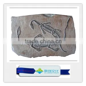 Popular Bone Fossil Replica of Dinosaur Bones thumbnail-1