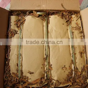 Broken Cassia Without Powder Mix thumbnail-3
