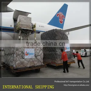 International Express Freight Forwarder Shipping to Dubai thumbnail-1