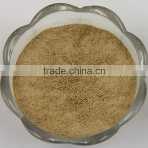 High Quality Champignon Shiitake Mushroom Extract Powder thumbnail-2
