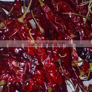 Dry Red Chili thumbnail-4
