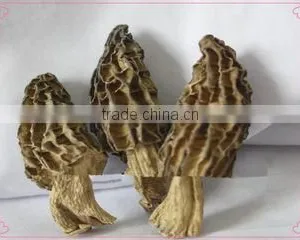 Chongqing Eusinasia Foods Co., Ltd. company overview - view 2 thumbnail