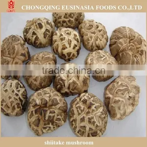 Shiitake Mushroom thumbnail-4