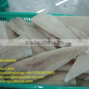 Wholesale New Frozen IQF Alaska Pollock Fillet With Good Price thumbnail-1