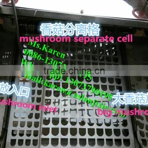 Mushroom Leg and Cap Separator Machine / Mushroom Stem Removal Machine thumbnail-2