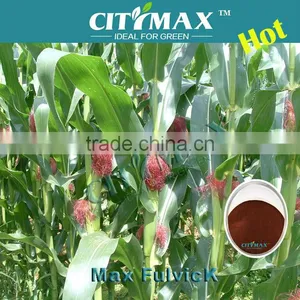 Benefits of 60% Fulvic Acid Potassium thumbnail-1