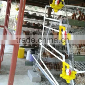 Wholesale Small Animal Cages for Automatic Chicken Cage thumbnail-3