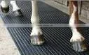 Easy to Clean Ribbed Cow Rubber Mat thumbnail-1