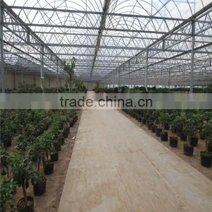 Polycarbonate Sheet Greenhouse thumbnail-3