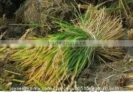Reaper Binder/Reaper Binder Machine/Rice And Wheat Harvester 4GK80 thumbnail-3