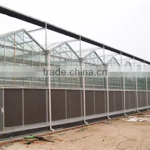 Agricultural Venlo Polycarbonate Greenhouse thumbnail-3