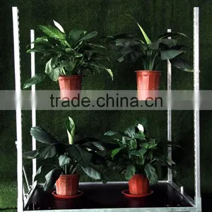 Popular Item Flower Trolley With Price thumbnail-2