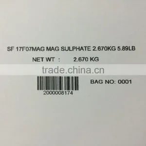 Fully-Automatic High Resolution Inkjet Printer PM-900 thumbnail-2