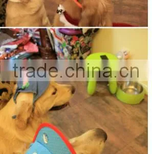 Pumpkin Base Ball Cap for Dog , Dog Pumpkin Base Ball Cap,pumpkin Dog Hat thumbnail-3