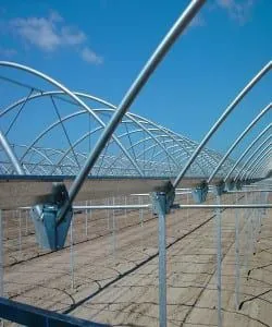 Multi-Span Greenhouse for Agricultural Greenhouse thumbnail-3