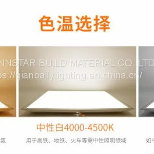 Surface Mounted Panel Light Panel Lighting 2835SMD 600*600mm Led Panel Light thumbnail-2