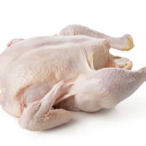 2021 Best Sale A Grade Quality Halal Frozen Chicken Meat thumbnail-2