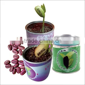 Tinplate Magic Bean Cans With Easy Open Ends thumbnail-1