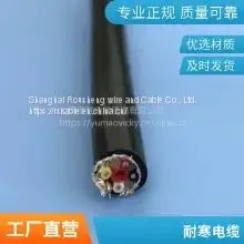 Cold Resistant Cable Wear-resistant Flame Retardant Special Cable Liquid Nitrogen Cable Polyurethane Cable Waterproof Cold Resistance Low Temperature Customization Welcome to Call Rousheng Wire and Cable thumbnail-2